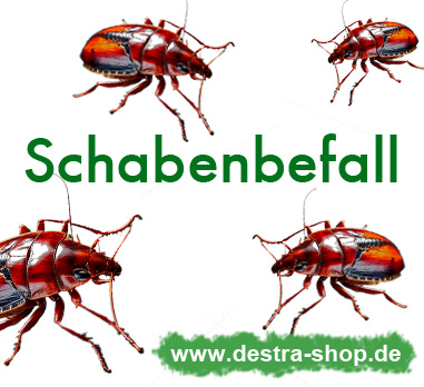 Professionelle Vogelabwehr zum Schutz bei Bauwerken